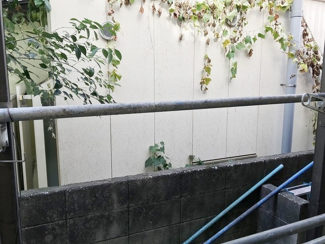 ピコハウスの展望
