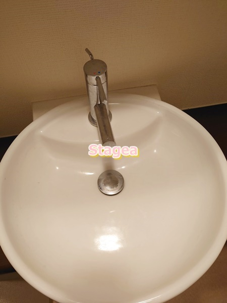 ステージグランデ大宮の洗面所