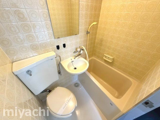 プチメゾン仲之町の洗面所