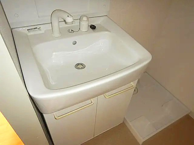 信和マンションの洗面所