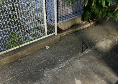 【バルコニー】 | ホーユウパレス相模原南 | バルコニーは、室外の専用スペースのうち、「屋根がなく開放された空間」であるものを指します。ベランダより広いタイプのものが多く、日当たりもよいため家庭菜園などを楽しみたい人にとって適した環境となります。
