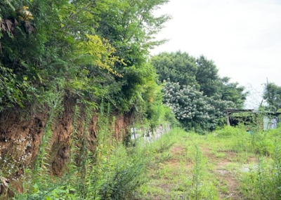 【外観】 | 川町売地 | 最寄り駅が近いなどの交通アクセスが良い土地だと暮らしやすいですよね。通勤・通学の観点から土地を選ぶことも大切です！自身や家族のライフワークからあったの物件を探しましょう！当社営業がお力になります！