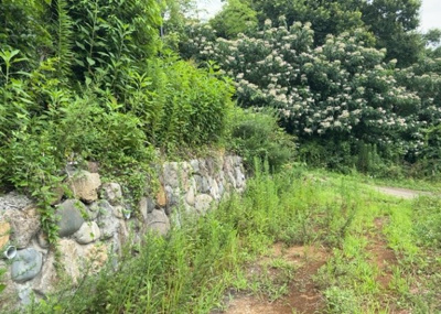 【外観】 | 川町売地 | 土地探しをしていると都市計画区域という言葉を目にすると思います。法律によって、都道府県知事や国土交通大臣が指定するエリアのことを指しており、都市計画区域は市街化区域と市街化調整区域に分けられています。