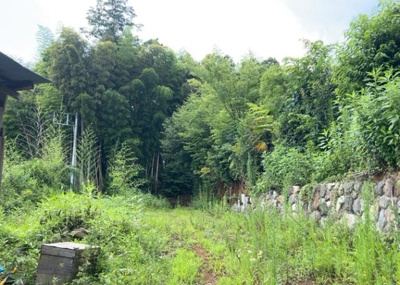 【前面道路含む現地写真】 | 川町売地 | ハザードマップは自然災害による被害を予測し、その被害範囲を地図上で表したものです。近年特に災害が多くなっていますので、事前に調査すると安心できます。ハザードマップは国交省のホームページをご覧ください。