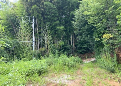 【外観】 | 川町売地 | 物件の詳細については、現地を見てわかること以外に、役所や法務局などで調べないとわからないことがあります。そのため、現地に行く場合は、もしこの物件を買ったらどのような生活ができるかをイメージしましょう。