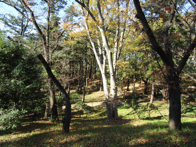 Ｓｕｎ　Ｖａｌｌｅｙのその他|世田谷区羽根木公園