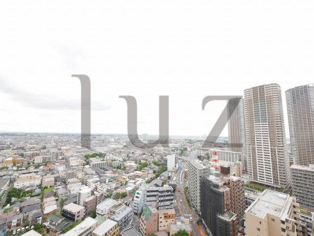 ドレッセタワー武蔵小杉の展望