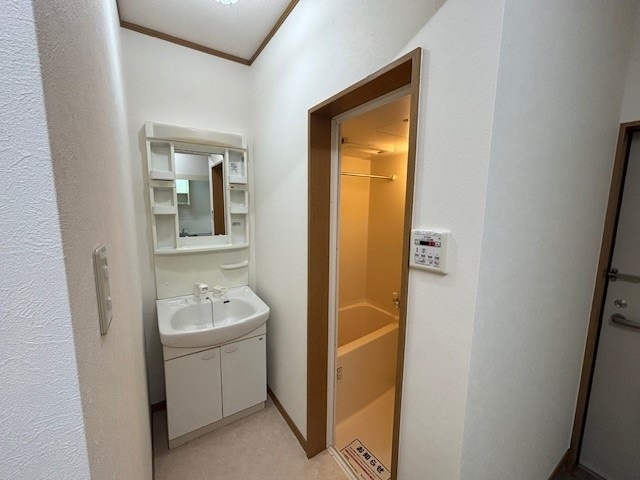 メゾン伊福町の独立洗面台