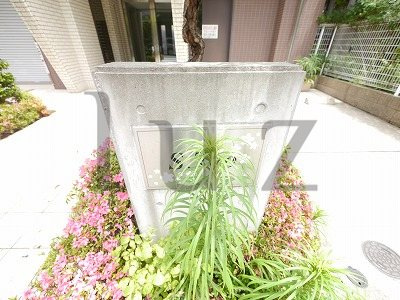 エスタオのその他