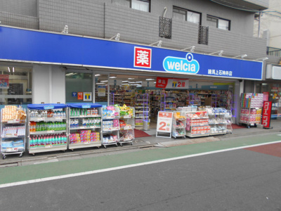 ウエルシア練馬上石神井店まで700ｍ