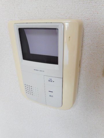 サン・プラシードのセキュリティ