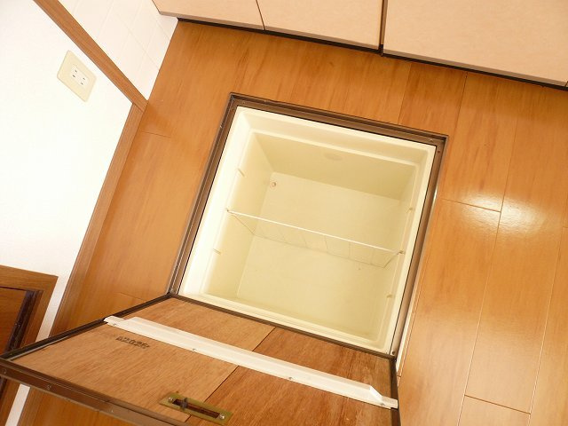 リヴュアリットＡのその他