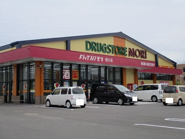 ｓａｌｉｅｎｔｅ　Ⅱの周辺|ドラッグストアモリ恒久店まで1100m
