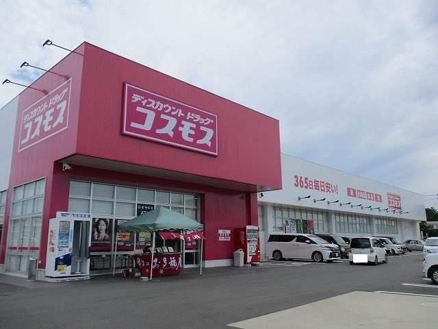 ピアッジオの周辺|コスモス源藤店まで850m