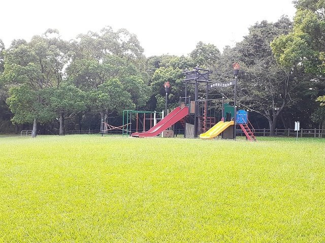 Ｒ．Ｎ．Ｐ　レジデンスＷ　Ｉの周辺|木花公園まで2000m