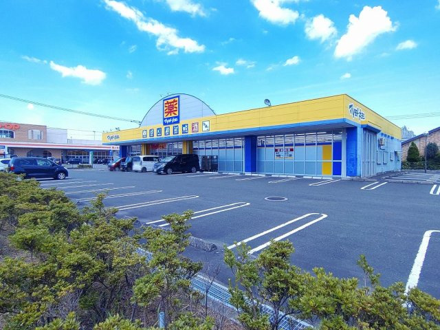 レオパレス大宮の周辺