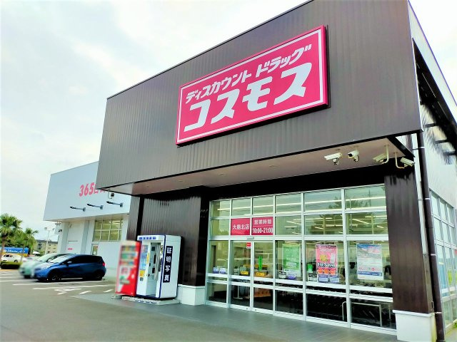 レオネクスト大和の周辺