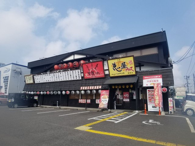 レオパレス霧島の周辺