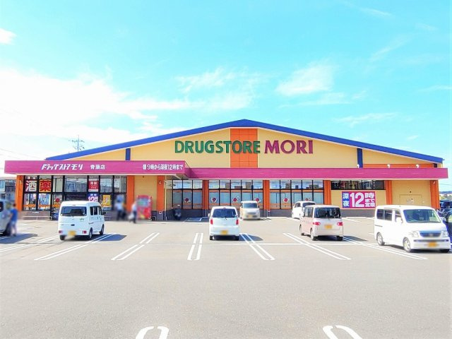 レオパレス夢見の周辺