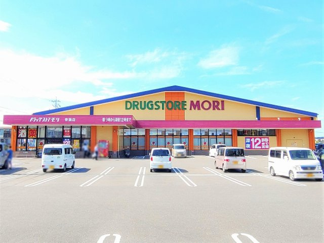 レオパレスプリマヴェーラの周辺