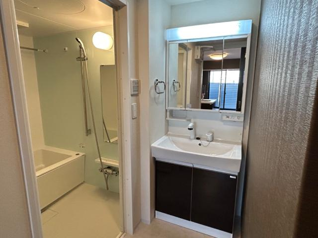トライアングルテラスの洗面所|洗面（イメージ）