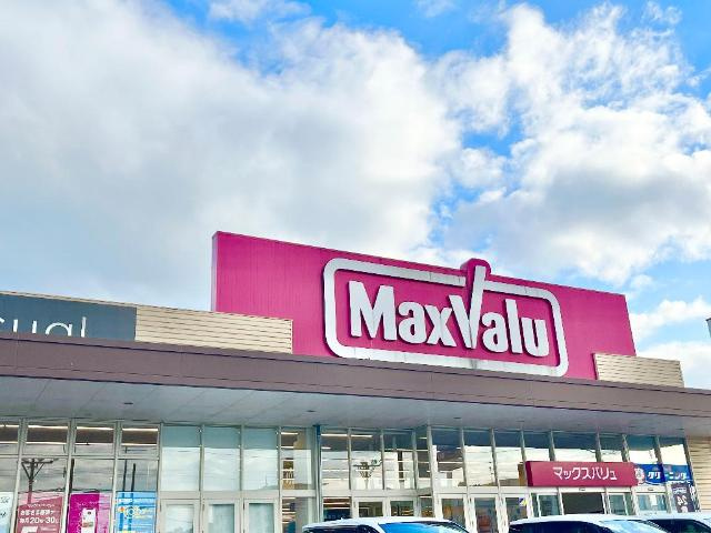 トライアングルテラスの周辺|マックスバリュ島之内店まで2,393ｍ