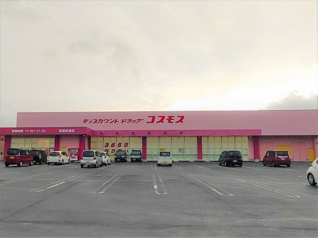 レオパレスサザンの周辺