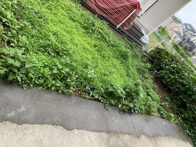 専用庭の様子です