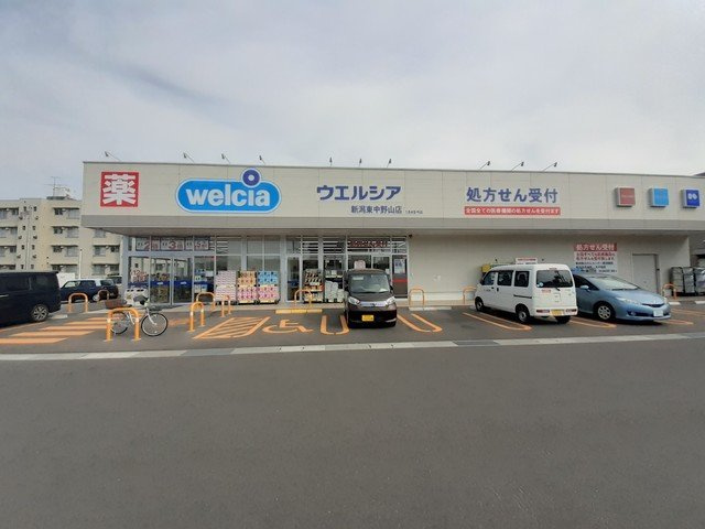 コンフォールの周辺|ウエルシア新潟東中野山店まで371m