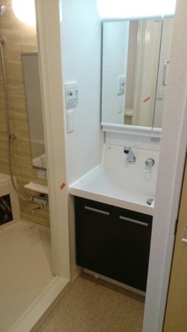 グランツ堀田の洗面所