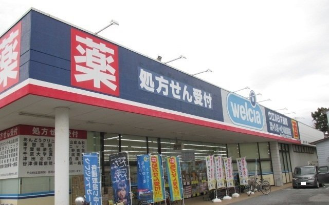 グランディールの周辺|ウエルシア習志野実籾店まで220m