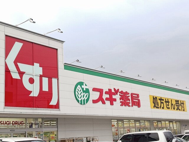 メゾンド　クロワールＢの周辺|スギドラッグ野々上店様まで563m