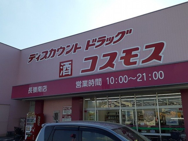 グリーンヴィレッジⅡの周辺|コスモス長嶺南店まで300m