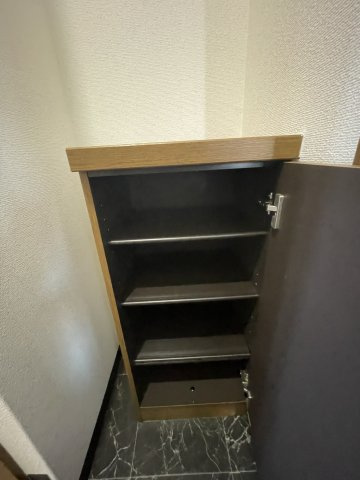 ルミエールMの収納