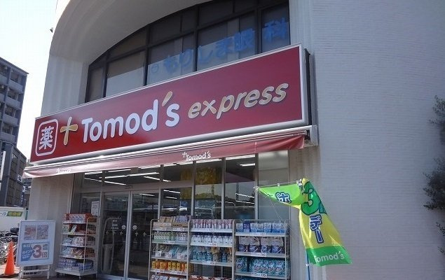 プリムヴェールⅠの周辺|トモズ鶴川店まで600m
