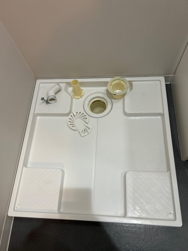 ＤＯＥＬのその他