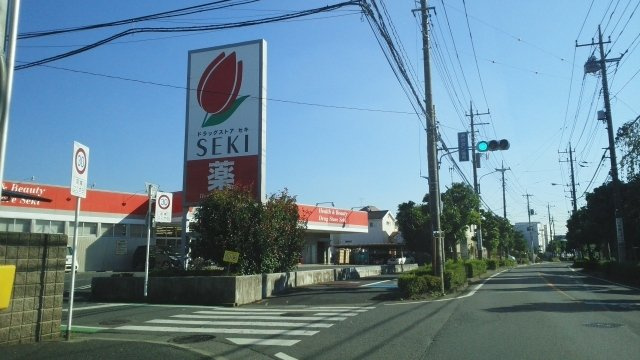 ハイツ早舟の周辺|ドラッグストアセキ　東浦和店まで400m