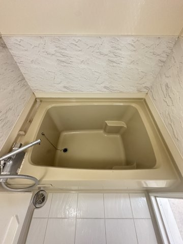 グラスホッパーの浴室