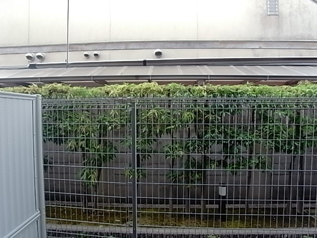 サニーメゾンの展望