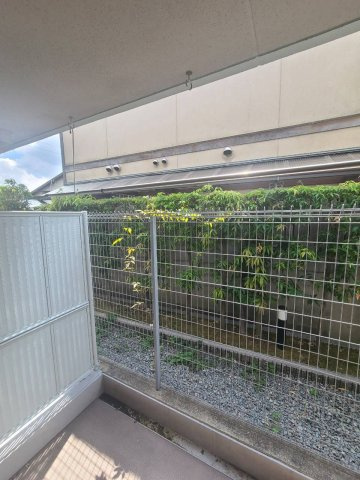 サニーメゾンの展望