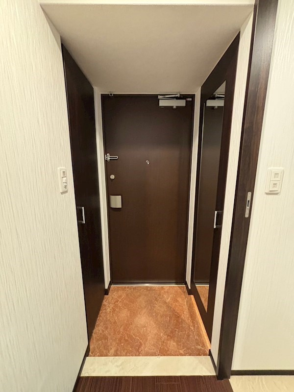 レオングラン本町橋の玄関
