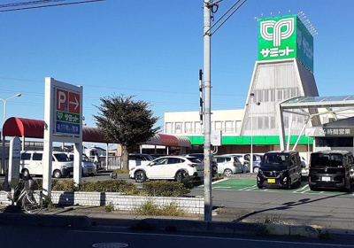【その他】 | チューリップ　ツリー