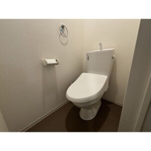 ジーメゾン味鋺エアリーのトイレ