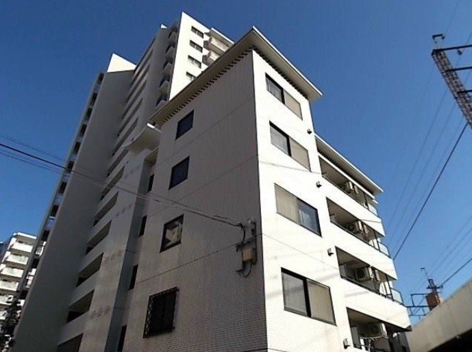 ステラ伸光
