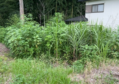 【外観】 | 又野売地 | 土地の形が極端に長細かったり、狭小地、あるいは道路との高低差がある傾斜地だった場合、後々売ろうとしても買い手がつかない場合もあります。後々、売却することになった時に価値の下がらない土地を選びましょう。