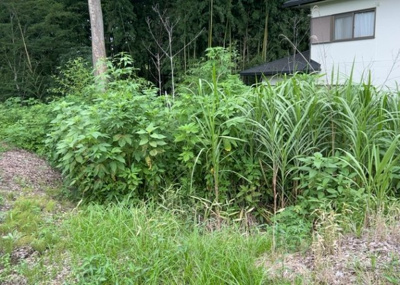 【外観】 | 又野売地 | 土地の面積＝住宅面積ではありません。建ぺい率の問題などで、土地のある場所によって住宅を建てられる面積は限られています。高さもしかり、「土地」という言葉の中には、建築条件も含まれると考えておきましょう。