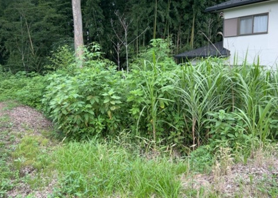 【外観】 | 又野売地 | 家を建てる場合、方位は要チェックです。現実的に日当たりのよい家ならばリビングは南側、建築基準法でも北側に当たる家への配慮は求められています。土地を見学に行く際は、方位磁針を持って行くようにしましょう。