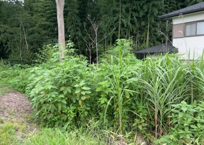 【外観】 | 又野売地 | 土地を買う際、住む地域の自治体や福祉の補助制度にも注目してみましょう。子供や老人の医療補助やゴミ出しのルールなど、自治体によってルールに大きな違いがあるため、暮らしやすい土地で判断するとよいでしょう。