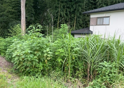 【外観】 | 又野売地 | 土地の前の道路に消火栓が設置されていることがあります。この場合、道路交通法第45条第1項により、駐車禁止の場所が指定されています。そのため、車庫などの駐車スペースをつくることができない場合があります。