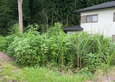 【外観】 | 又野売地 | 土地探しをしていると都市計画区域という言葉を目にすると思います。法律によって、都道府県知事や国土交通大臣が指定するエリアのことを指しており、都市計画区域は市街化区域と市街化調整区域に分けられています。